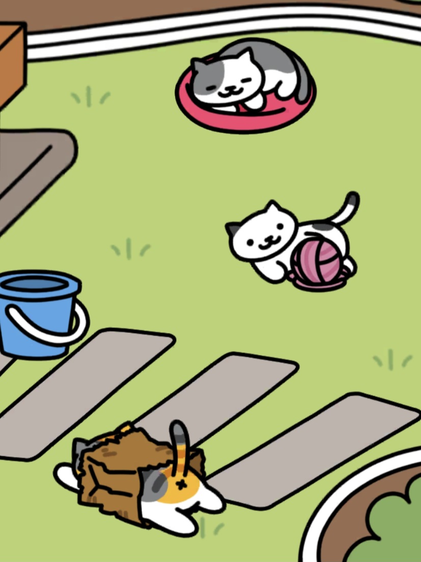 Nekoatsume2_2024-10-27-23-00-27.jpg