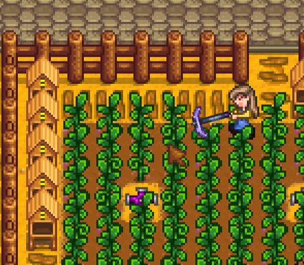 stardew6.PNG