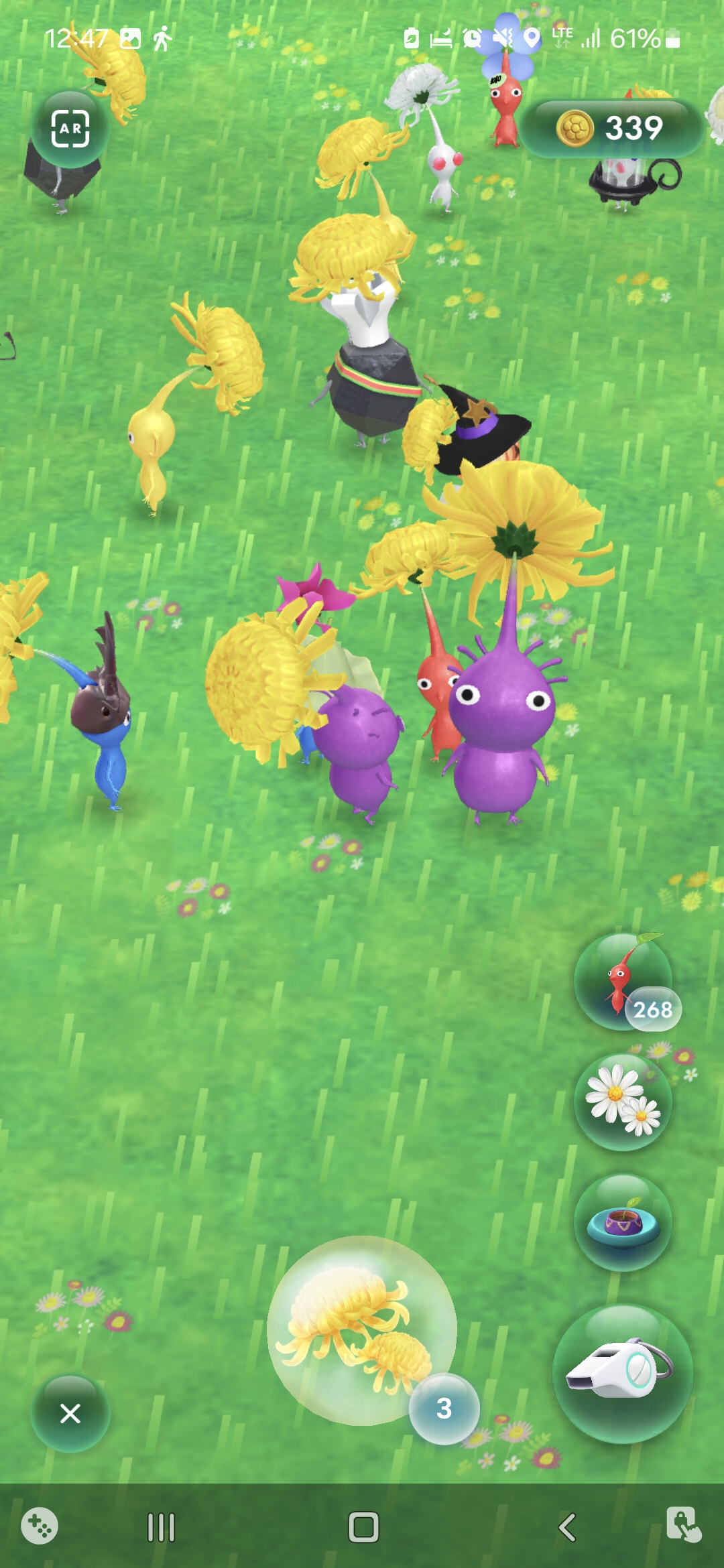 Screenshot_20241125_004702_Pikmin Bloom.jpg