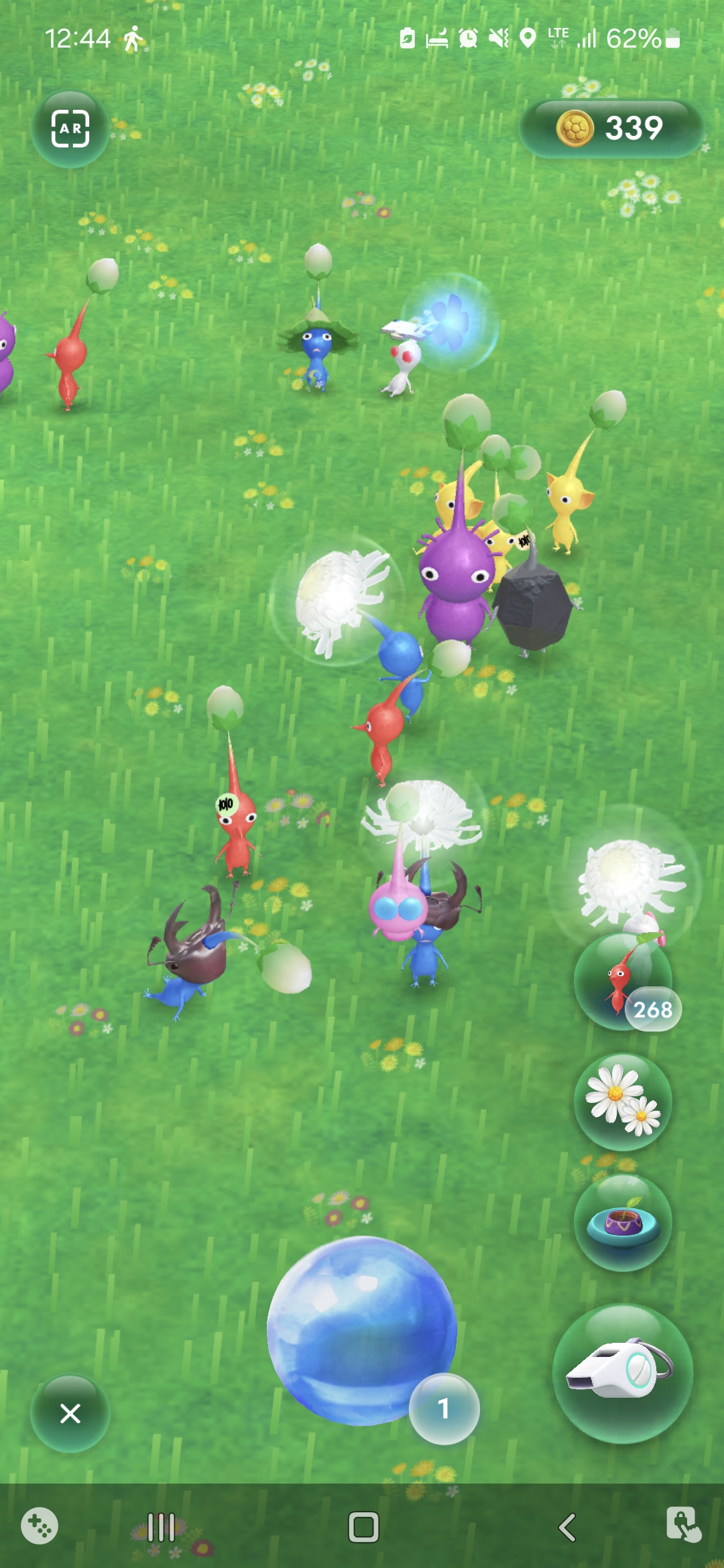 Screenshot_20241125_004410_Pikmin Bloom.jpg