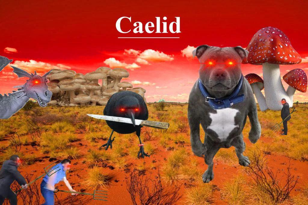 caelid2.webp.jpg