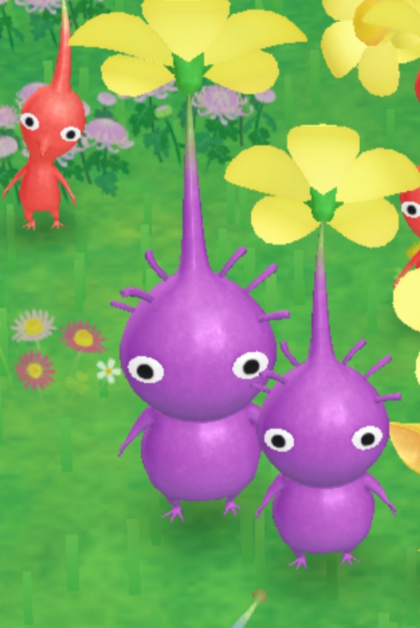 Screenshot_20241115_184045_Pikmin Bloom.jpg