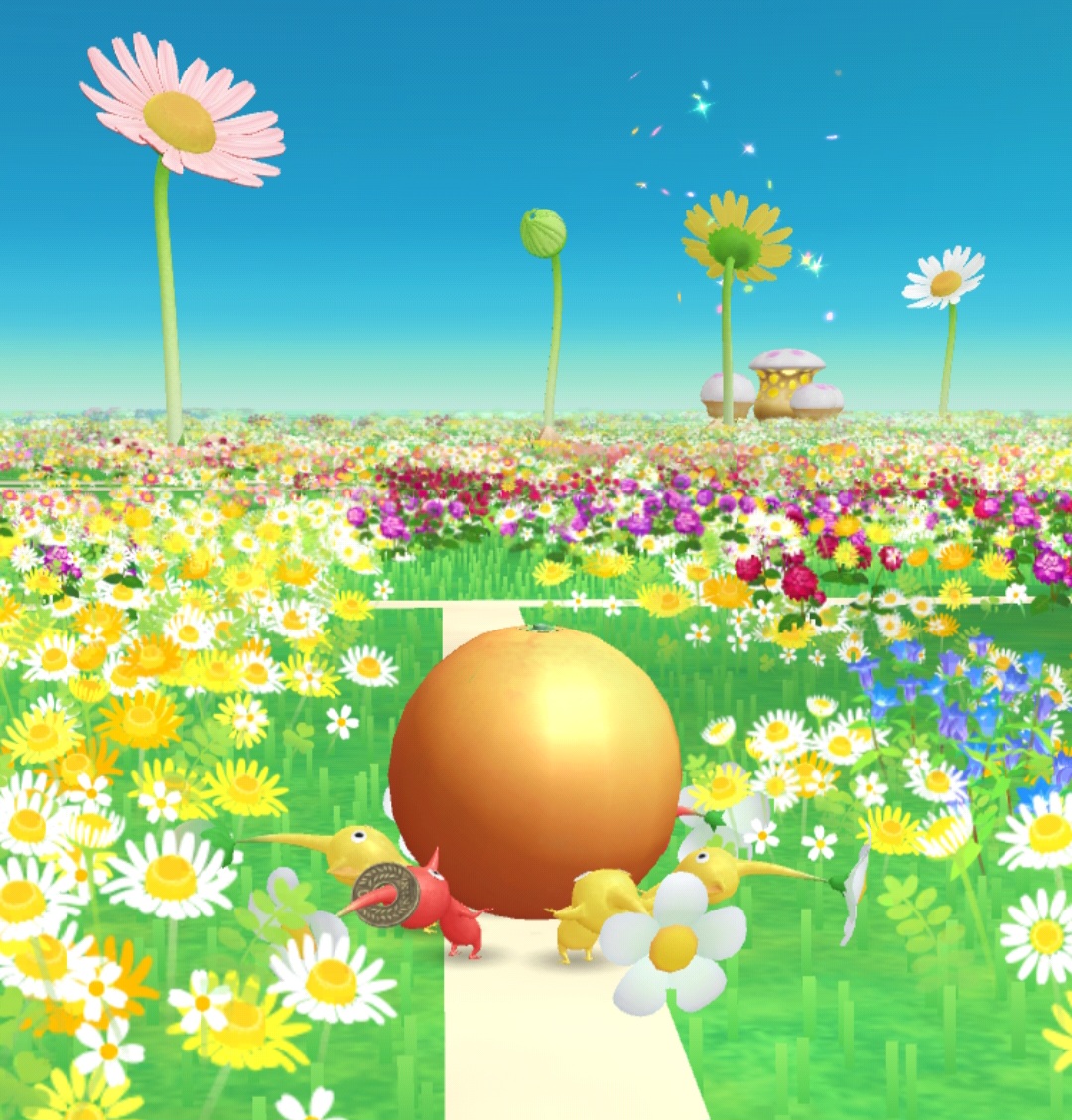 Screenshot_20241021_123752_Pikmin Bloom.jpg