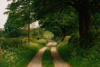 IMG_3101.jpeg