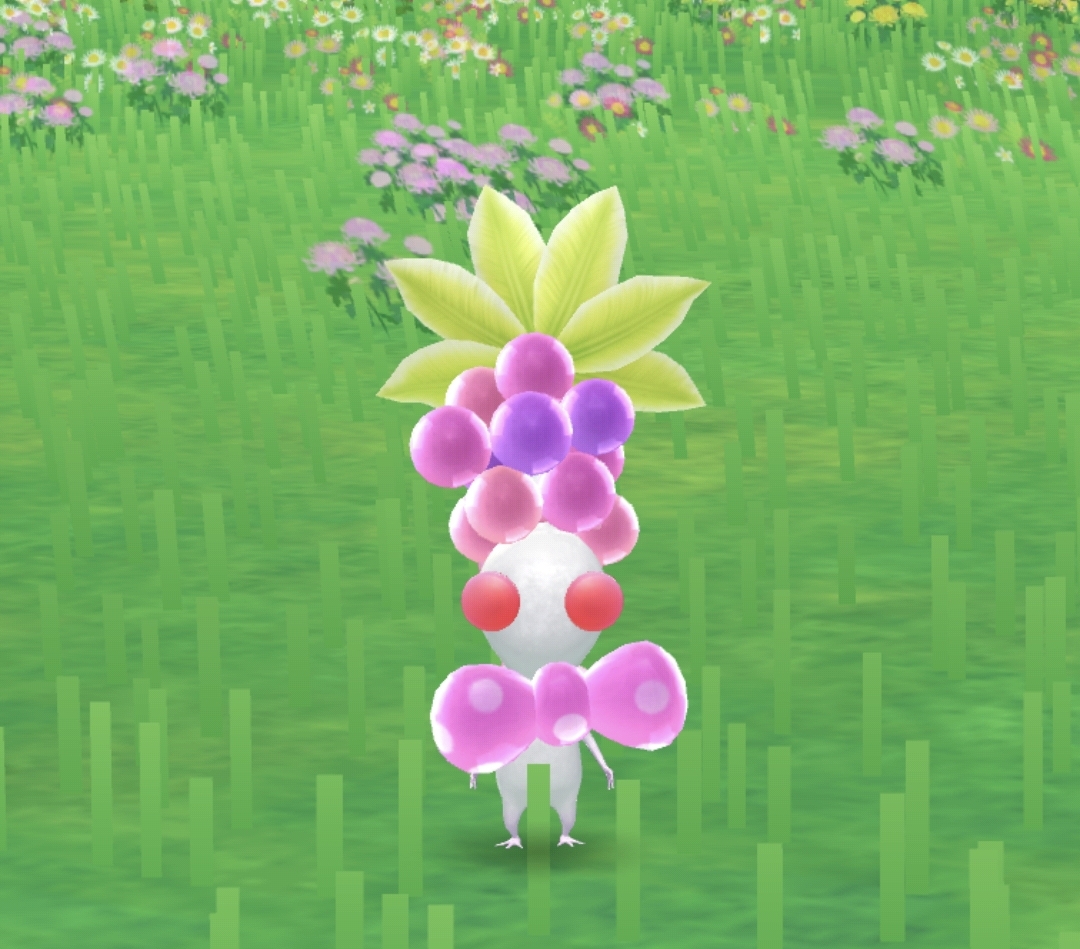 Screenshot_20241127_185117_Pikmin Bloom.jpg