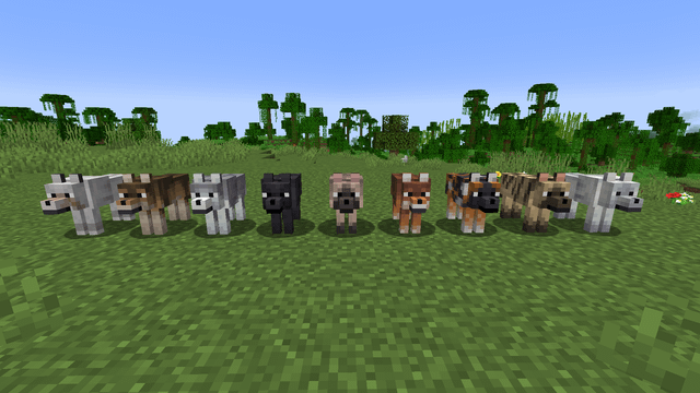 all-new-wolf-variants-in-snapshot-24w10a-v0-7cw6y3pweqmc1.png