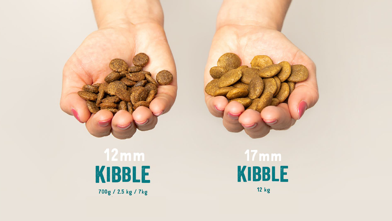 DOG_kibble_-_different_sizes_overview_3_2000x.png