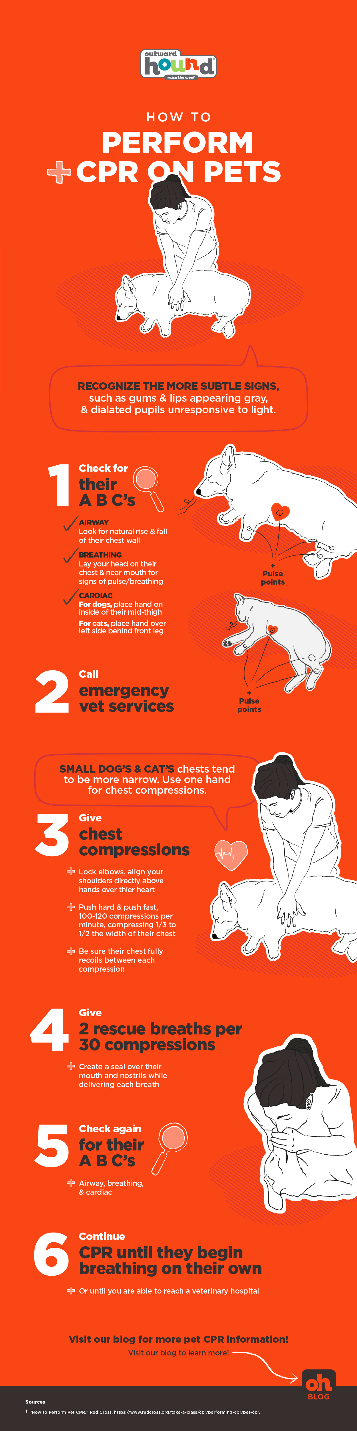 02.2022_Pet-CPR_Infographic-2.png