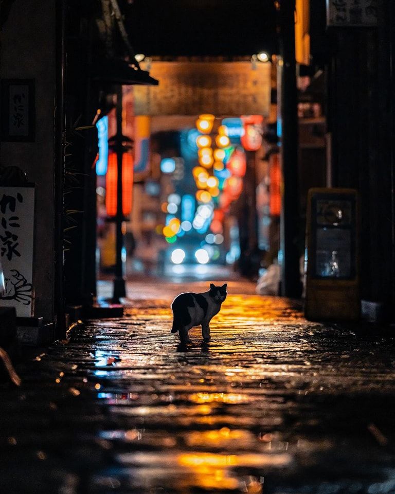 fea0b76fce6d0d3bf3d04d50e2ac2269.jpg fea0b76fce6d0d3bf3d04d50e2ac2269.jpg