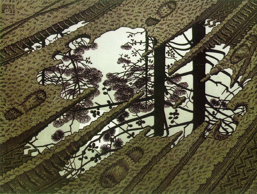 Puddle-Escher-Maurits-Cornelis-1952.jpg