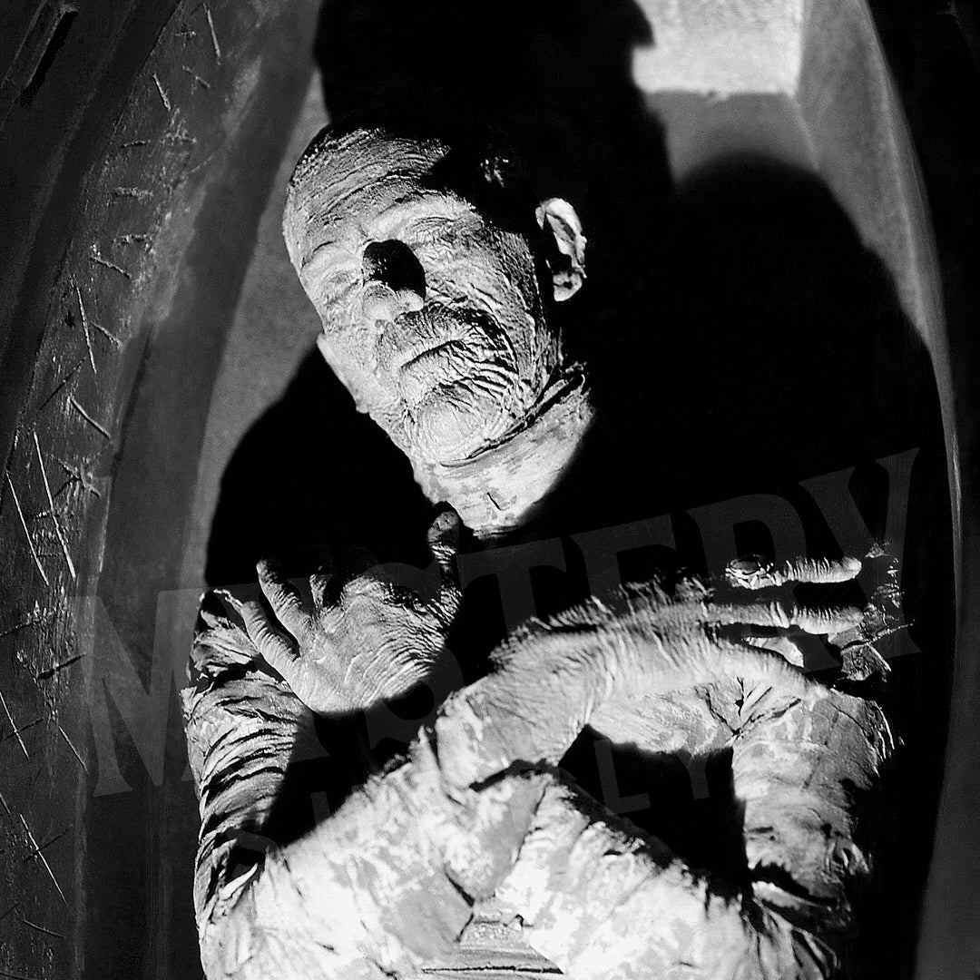 04-160-mummy-1932-coffin-boris-karloff-p03-mysterysupplyco.jpg