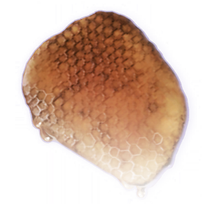 300px-FOOD_Honey_Comb_Faded.png