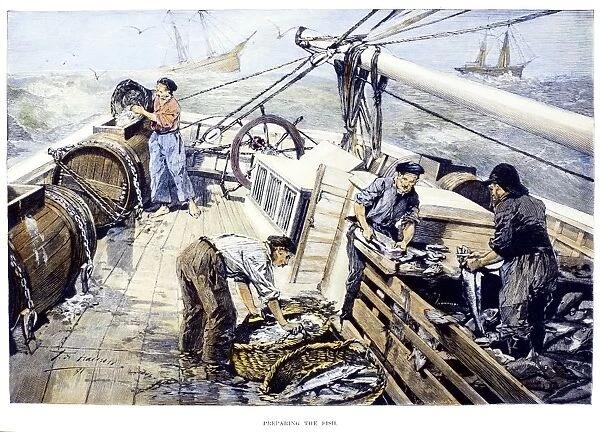 cod-fishing-1891-fishermen-grand-banks-off-7543059.jpg