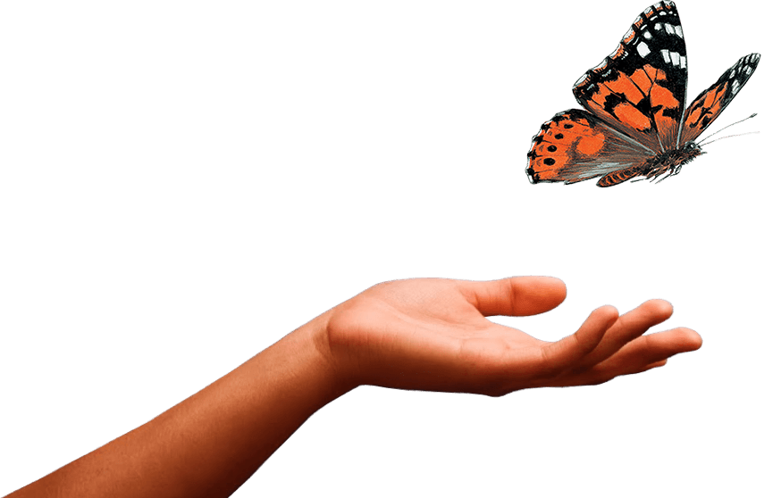 kisspng-butterfly-gardening-texcoco-insect-monarch-butterf-hand-painted-5abcc2a50061a9.8654003815223200370016.png