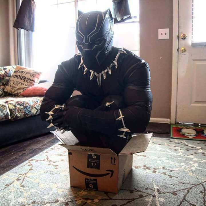 if-it-fits-it-sits-black-panther-cosplay-cat-box.jpg