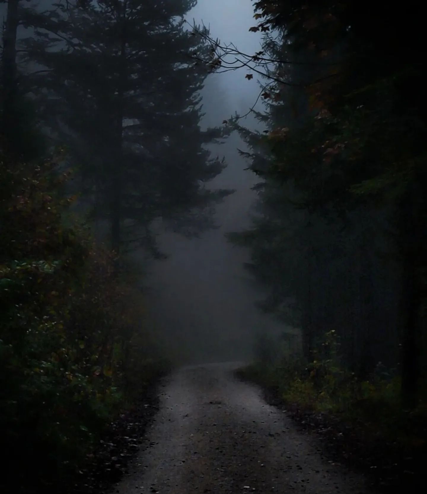 tumblr_343c65ad7673f7a6fd2668f22aa3110a_e6ce4f8d_2048.jpg