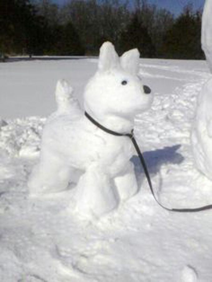 snowdog.jpg