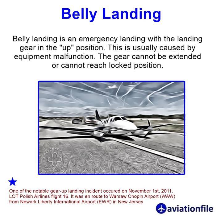 Belly-landing.jpg