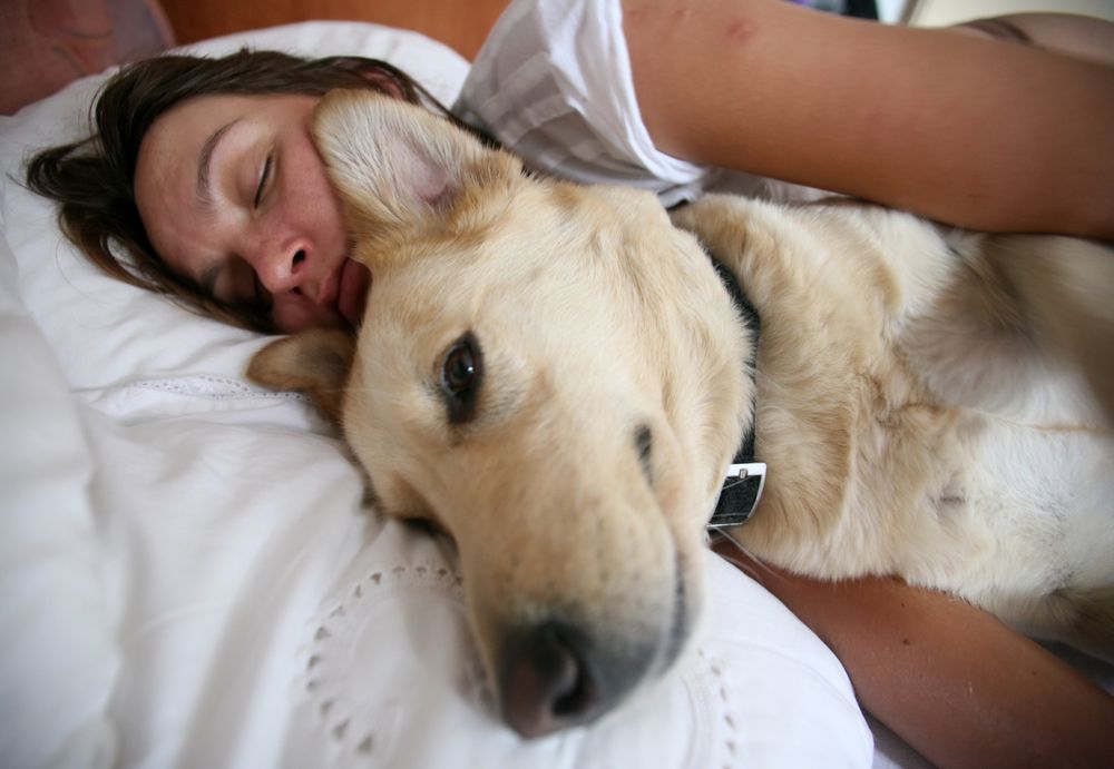 __opt__aboutcom__coeus__resources__content_migration__mnn__images__2015__10__big-dog-sleeping-bed-with-woman-50e142283d764ee1ab30d9f6a2d21a21.jpg