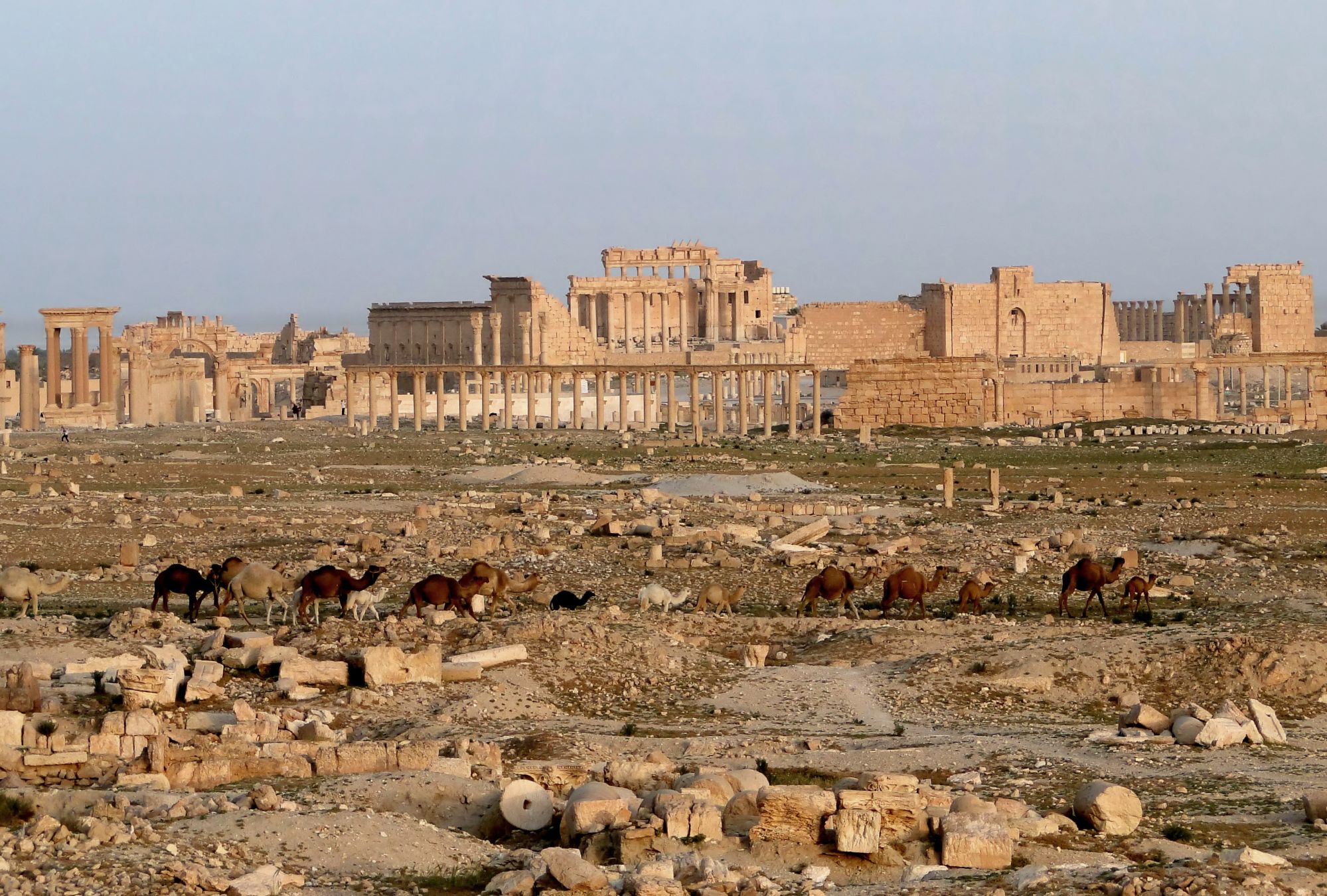 Palmyra_03.jpg