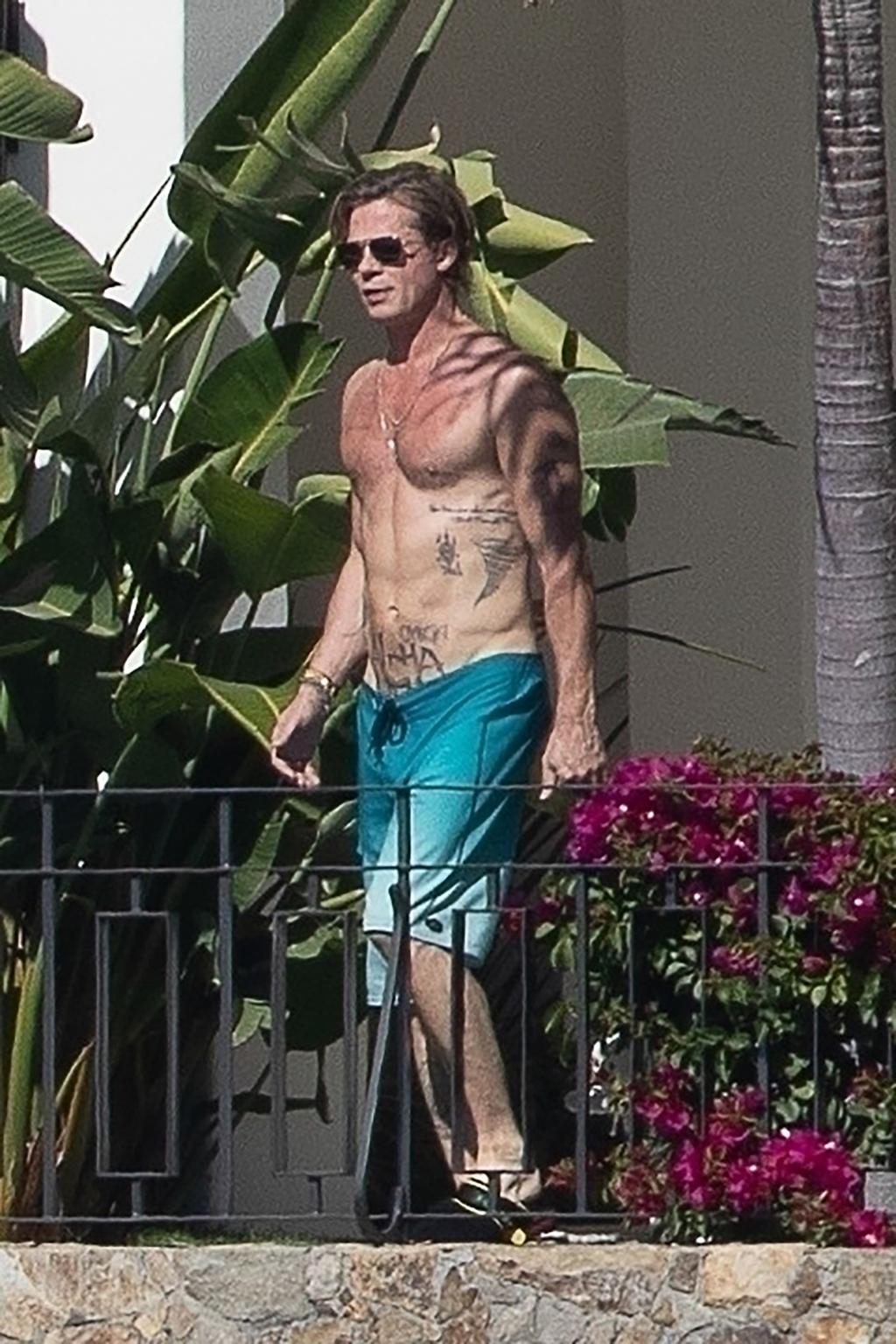 brad-pitt-shirtless-Ines-de-Ramon-topless-sunbathing-vacation-274.jpg