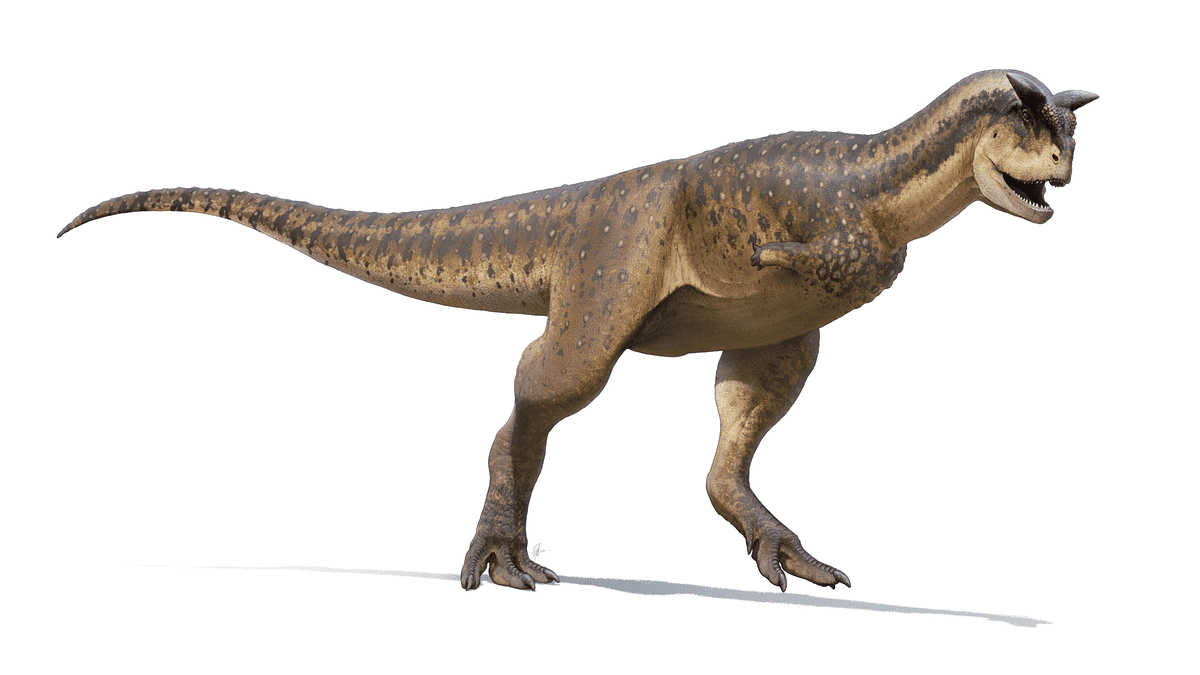 Carnotaurus_Reconstruction_2022.png
