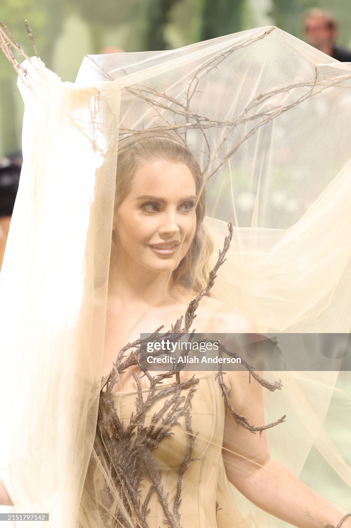 gettyimages-2151797142-2048x2048.jpg