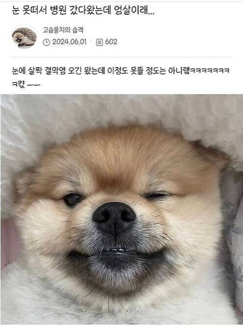 어느집_강아지의_엄살.jpg