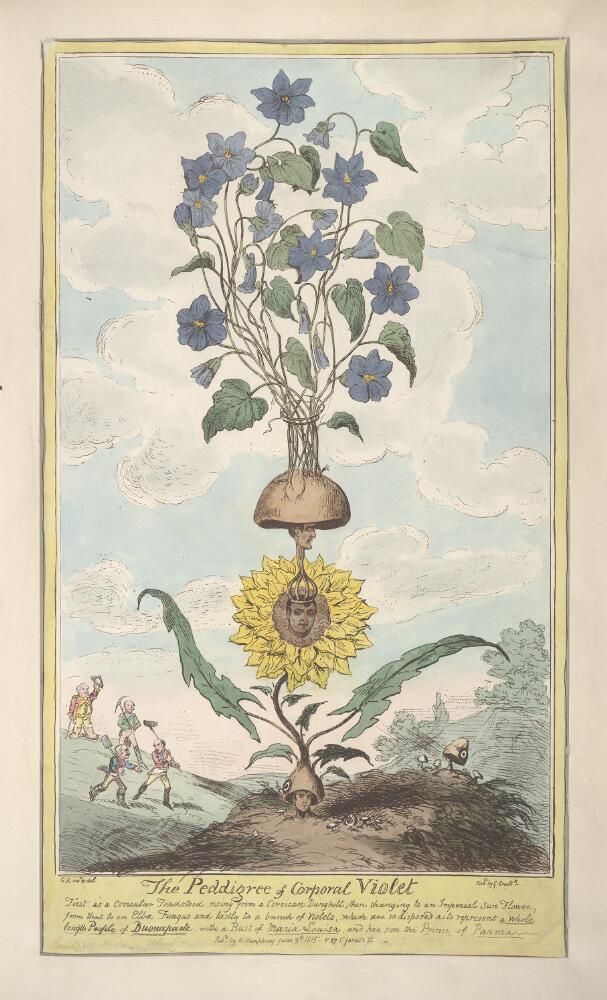 1815. Cruikshank-Pedigree_of_Corporal_Violet.jpg