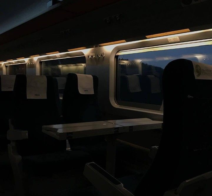 night train.jpg