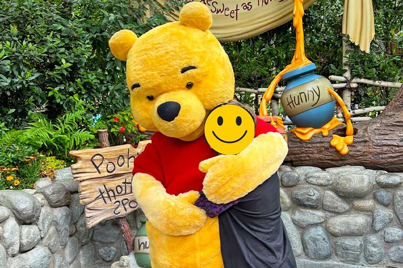 0522-tips-disneyland-summer-hug-pooh-1.jpg