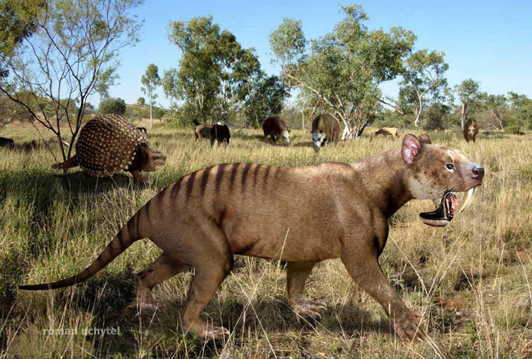 marsupial-super-predator_02.jpg