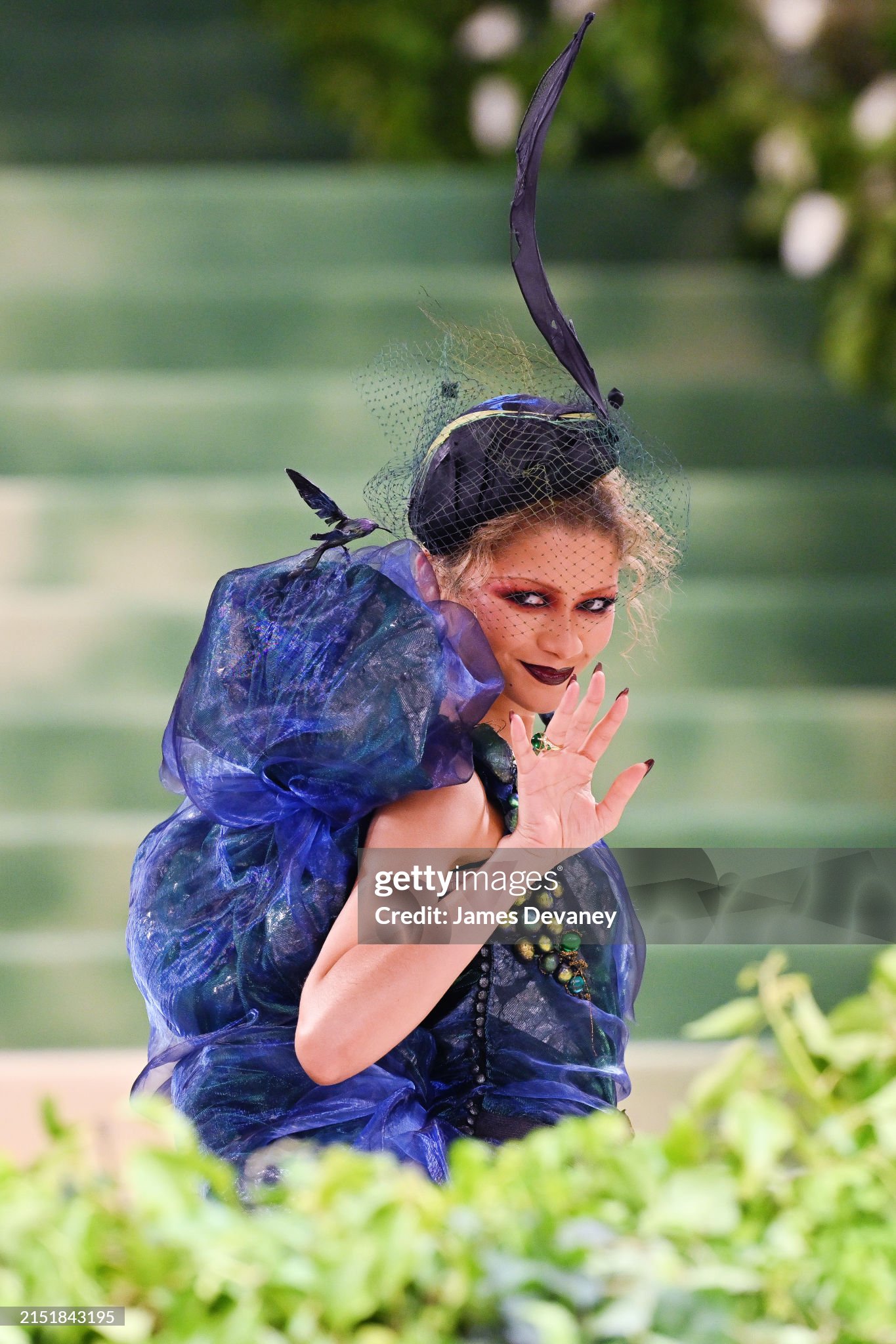 gettyimages-2151843195-2048x2048.jpg