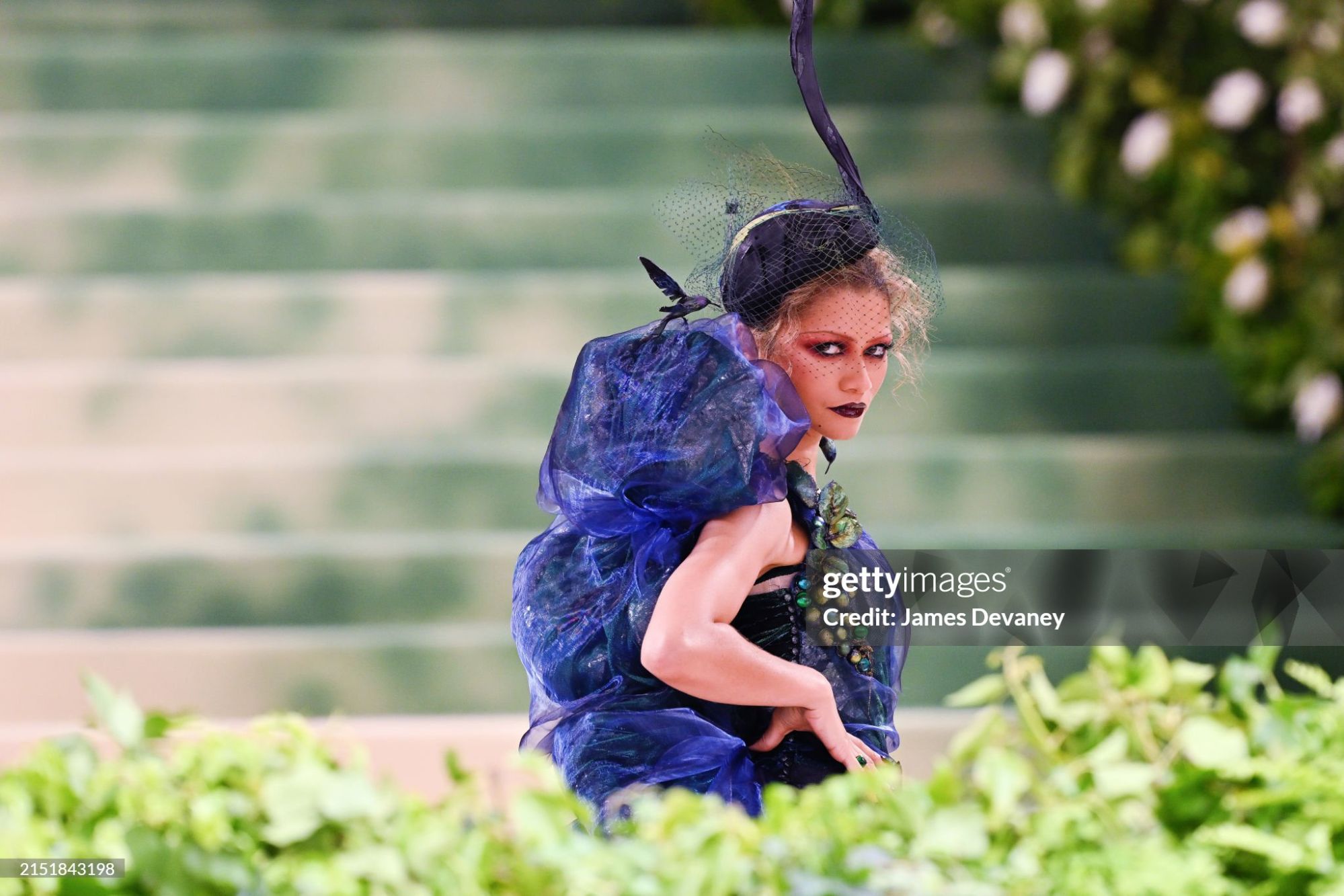 gettyimages-2151843198-2048x2048.jpg