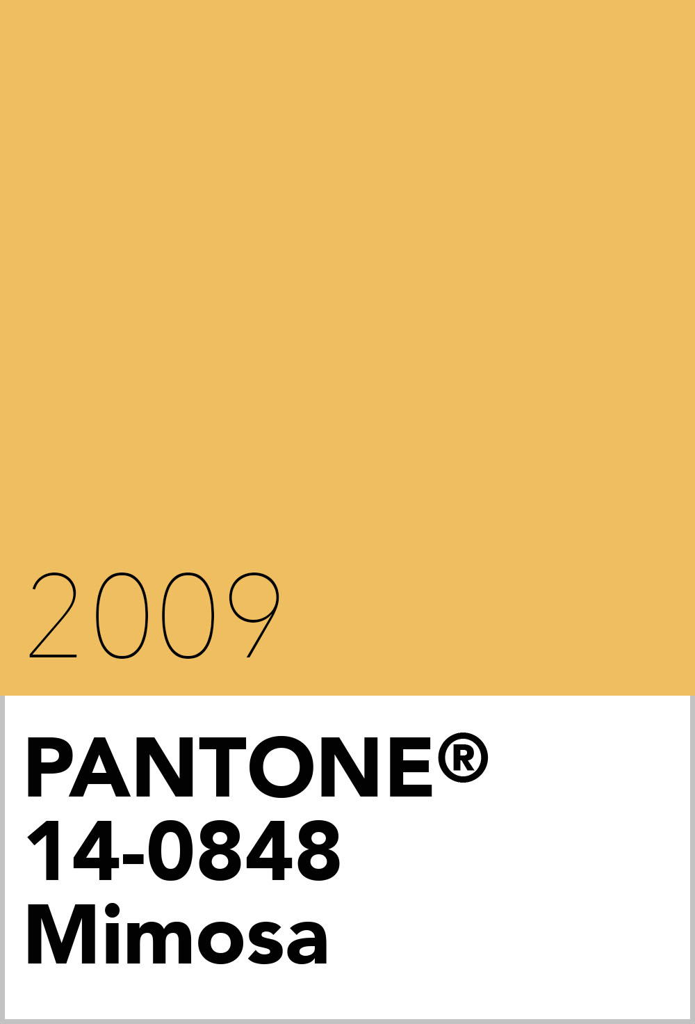 Pantone Colour of the Year 2009.jpg