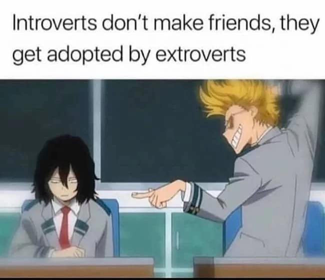 introverts-get-adopted-meme.webp.jpg