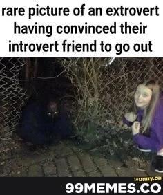 extrovert-friend-convinces-introvert-friend-out.webp.jpg