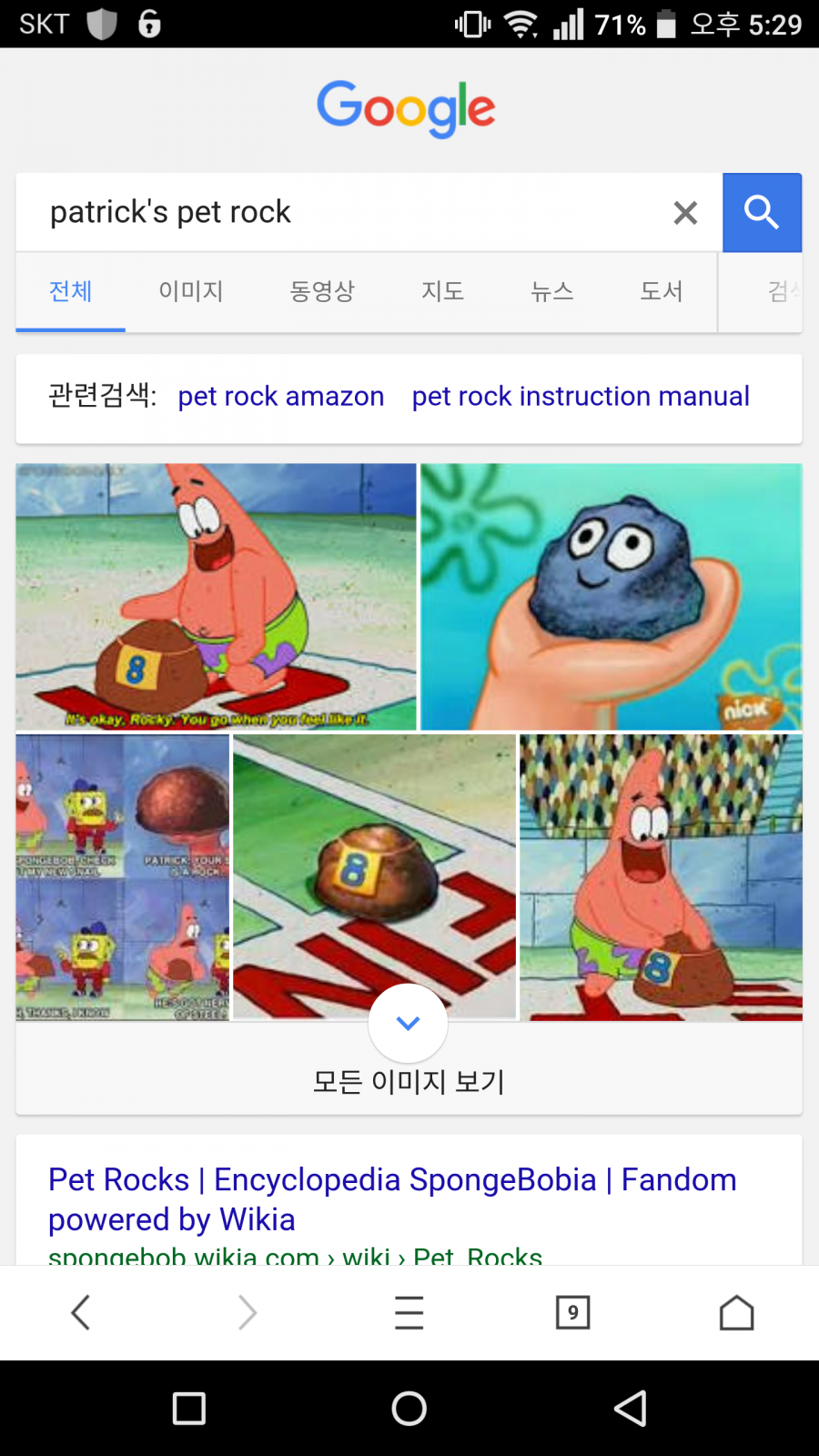 Pet rocks, Encyclopedia SpongeBobia