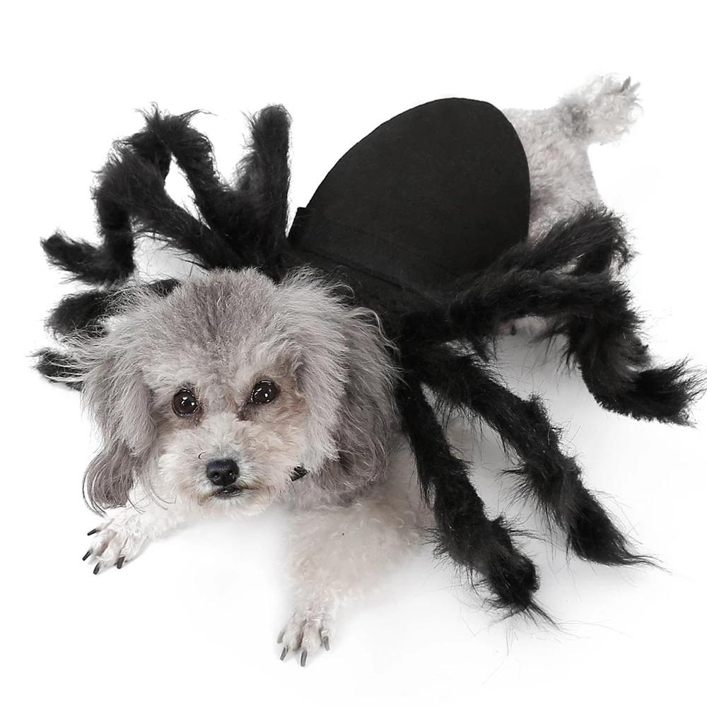 Halloween-Dog-Costumes-for-Small-Dogs-Spider-Dog-Dressing-Up-Clothes-Horror-Long-Fur-Legs-Funny.jpg_Q90.jpg_.webp.jpg