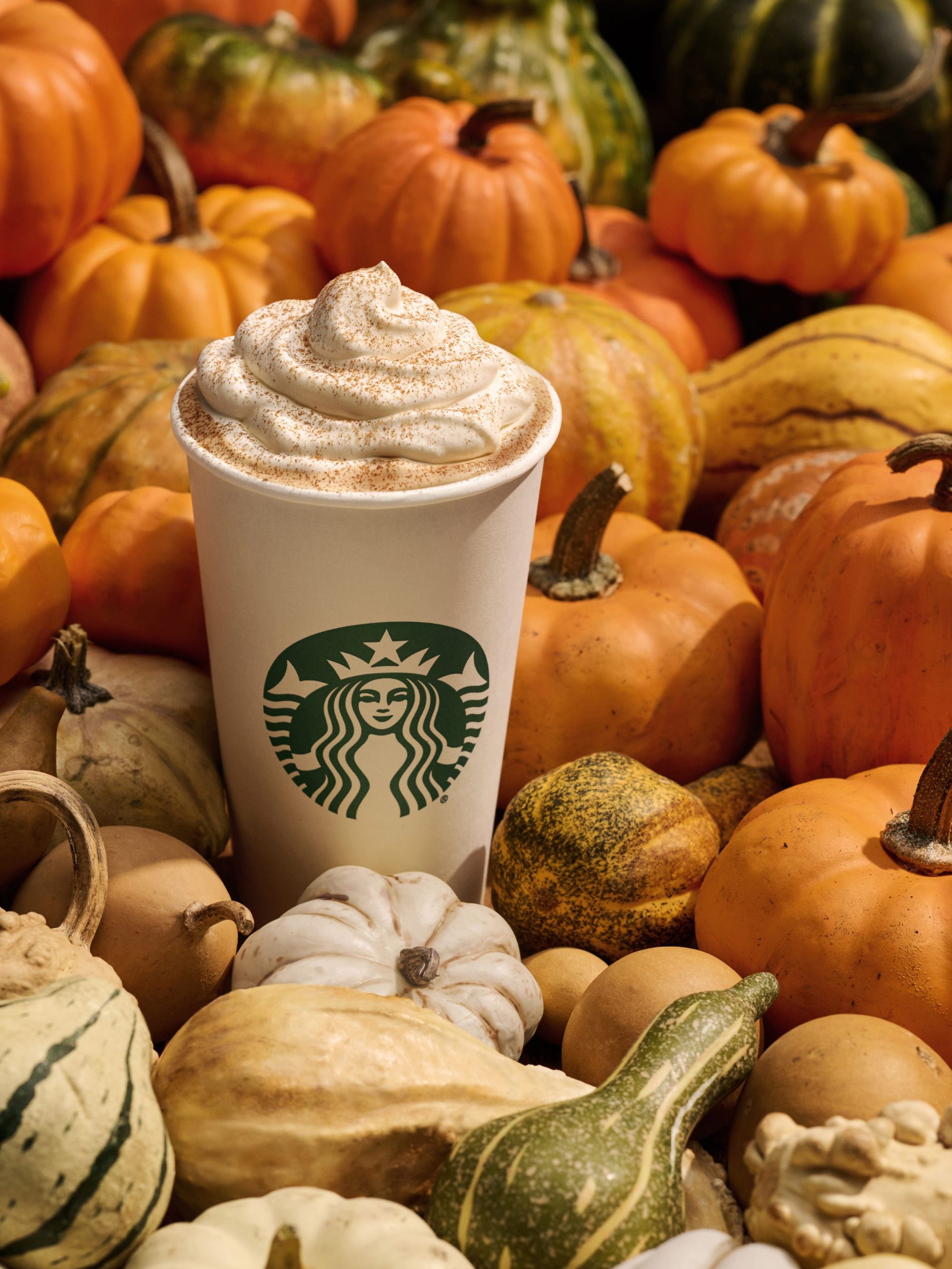 74630909007-starbucks-psl.jpg