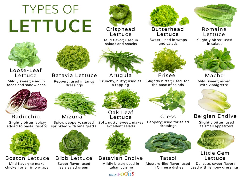 Types-of-Lettuce.jpg