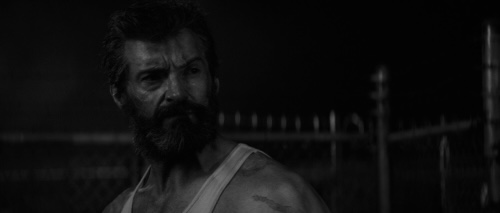 logan 23.jpg