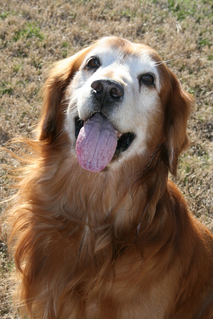 해연갤 너네 powdered sugar face가 뭔지 아냐